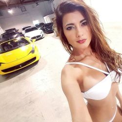 vvcastrillon:  Which one should I pick to go out tonight??? So hard to choose.  If you are like me and and enjoy the real LUXURY LIFESTYLE when you are in Miami there is only one company that can help you with high end cars or yachts.  Send me a Direct