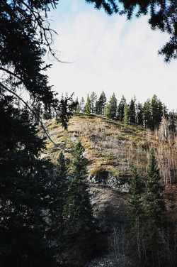 oh-haroo:  Follow me for more vertical nature and landscape!