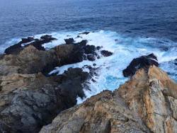 tropical-lullaby:  Guerilla bay, South Coast NSW 