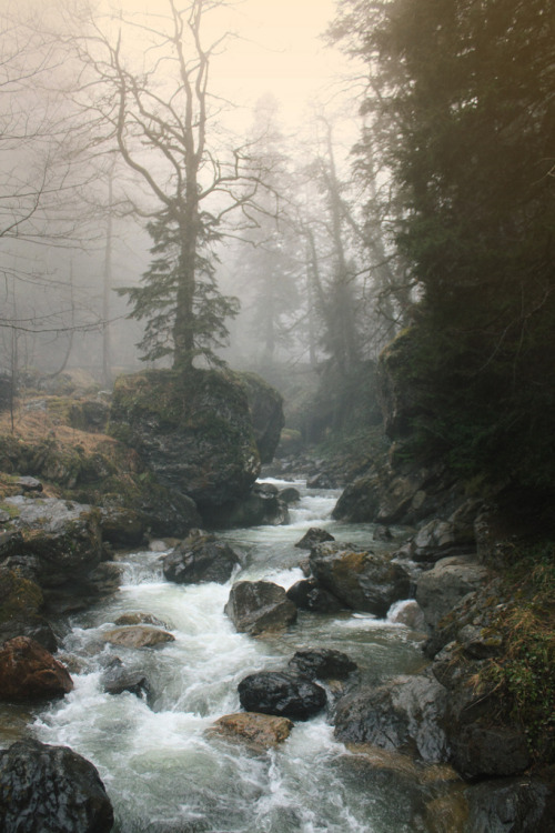 lostrend:  mistymorningme:  Karadeniz (by mustafaaydinol)  ⚛