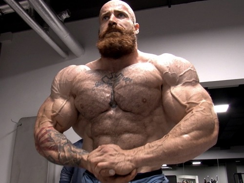This Gnarly Looking Fucker Is Rapidly Establishing Himself On My List Of Favourites.