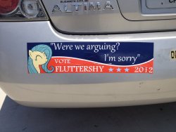 fluttershai:  Fluttershy Bumper Sticker by