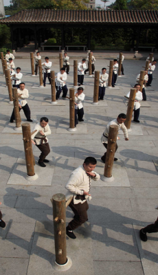 sifu-taichi-kungfu:  Wing chun wooden dummy