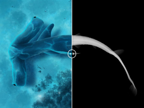 A bare-bones look at bizarre fishModern fish make up a huge part of Earth’s ecosystems, and co