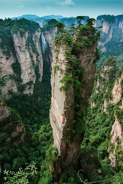 brutalgeneration:  _DSC0705_“Avatar Hallelujah” by tu_geo on Flickr. 