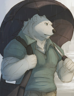 ralphthefeline:  A polarbear under rain with