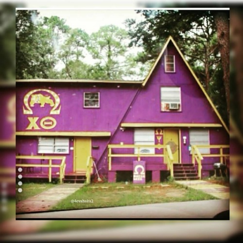 Mighty Mighty ChiTheta #FloridaStateUniversity  #MightyMightyChiTheta #ChiTheta #OmegaPsiPhi #Ques #