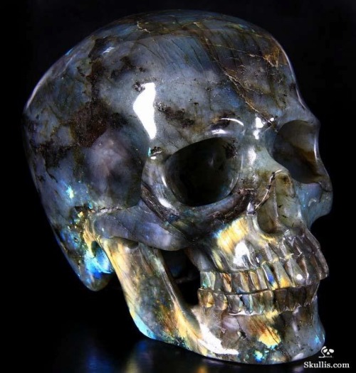 odditiesoflife:  The Coolest Gemstone & Crystal Skulls You Will Ever See Carved Ammonite Fossil Crystal Skull Ammonite Fossil Crystal Skull Agate Crystal Geode Skull Black Obsidian Skull with Moveable Jaw; Teeth Made from Australian Opal Quartz Rock