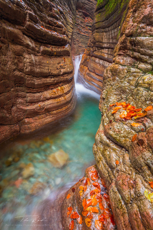 travelgurus:                   Beautiful Canyon Fall at Austria by   Florian Warnecke                  Travel Gurus - Follow for more Nature Photographies!    