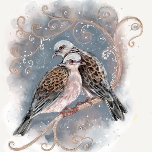 Two turtle Doves: On the 2nd day of Christmas #12daysofchristmas #2nddayofchristmas #2turtledoves #t