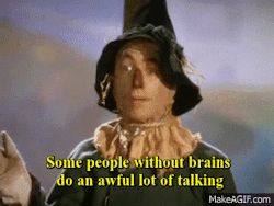itsstuckyinmyhead:  One of my favorite quotes from Wizard of Oz  