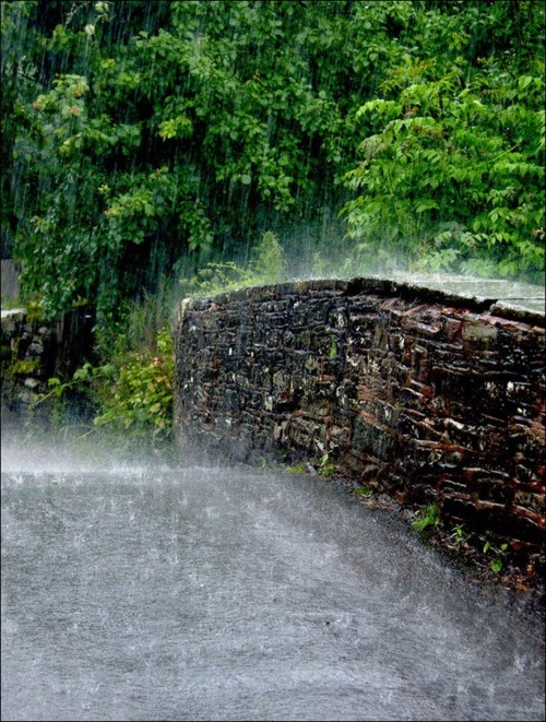 bluepueblo:  Spring Downpour, Cardiff, Wales  photo via barbara 