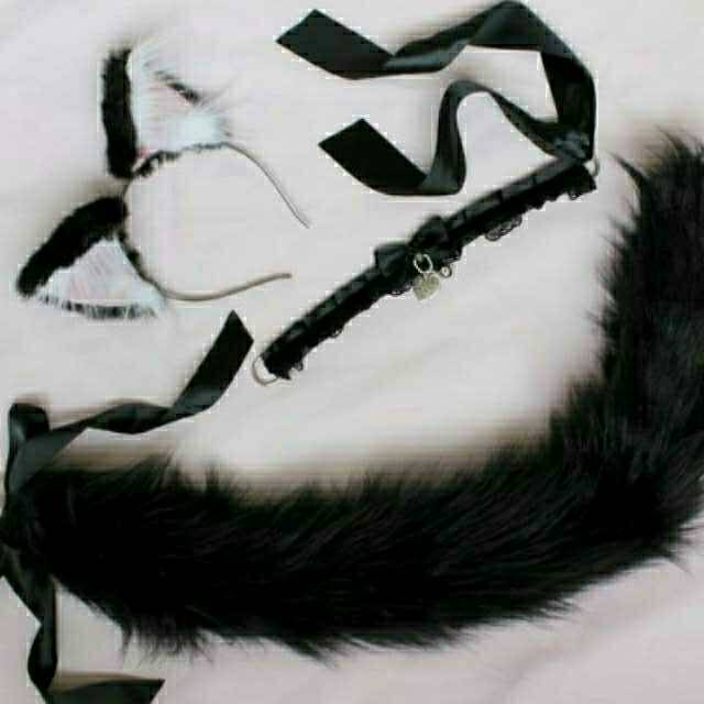 tsundevil:  My kittensplaypen wish list! ;w; Everything is so cute, affordable and