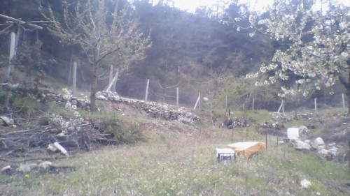 burası benim yayla bahar ayı