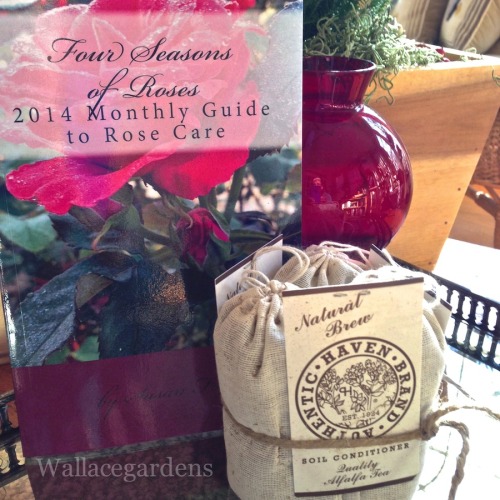 How about a garden giveaway? What a lovely way to start the new year!  The dead of winter is a 