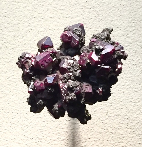 justtightshirts: Museum of natural history minerals, gemstones, other really cool rock masterpost