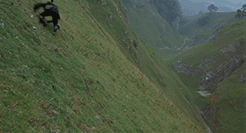 aggressica:  When you accidentally push your true love down an impossibly steep hill:   The only possible solution to accidentally pushing your true love down an impossibly steep hill:  