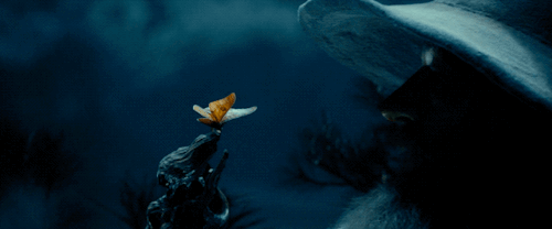 providence-park:Frodo, although I must admit I have told you the truth…I might not have told providence-park:Frodo, although I must admit I have told you the truth…I might not have told