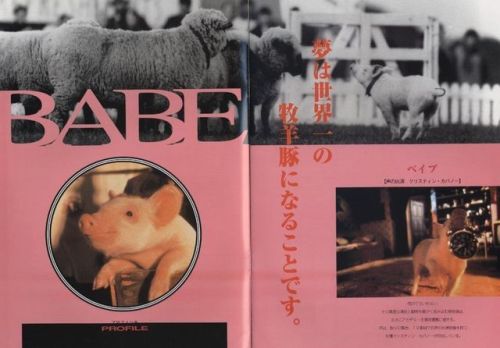 babe 1995