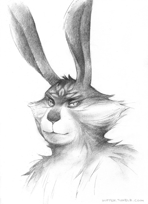 Pencil portrait of Bunny as requested by anon.
