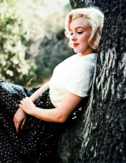 missmonroes:  Marilyn Monroe photographed by Milton Greene, 1953 