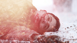 robertleckiesarchive-deactivate:  sorrow found me when i was young.sorrow waited, sorrow won. 