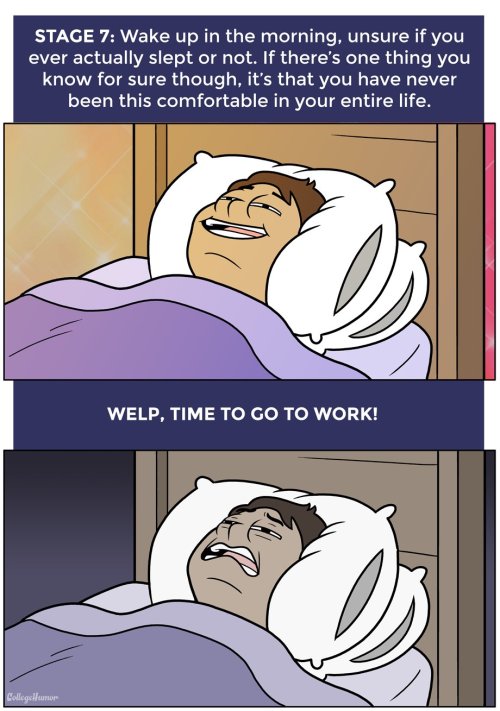 mandopony:  ambris-art:  pr1nceshawn:    The 7 Stages of Not Sleeping at Night    Every damn time  the truest post ever to be posted on the internet