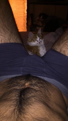 hairypo:  boosf:  jewsten:  someone’s comfy……..