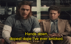 weed-gifs:  Discover how to grow your pot here