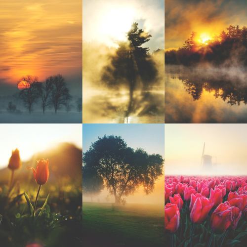 A Misty Morning That You Are...