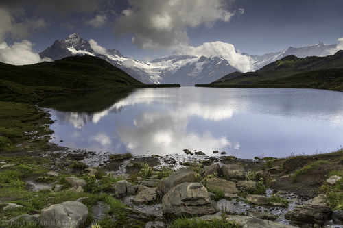 brutalgeneration:  Evasion *ON EXPLORE* (by photofabulation) 