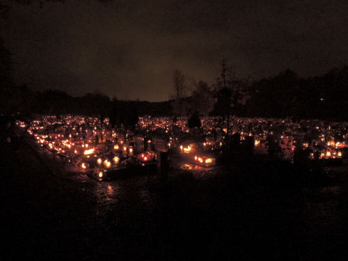 mistyhumour-photography:Cemetery during All Saint’s Day in Poland©Klaudyna Adamczak