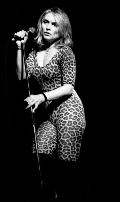 blondie-poedie:Debbie Harry