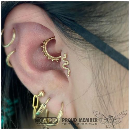 Daith piercing with a yellow gold Talia ring from @leroifinejewellery and a tragus piercing with a y