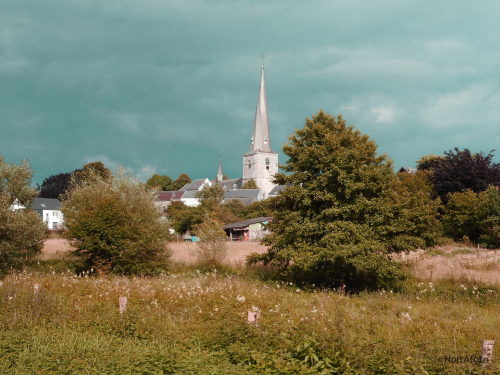 Baelen, Belgien (Juli 2021)NoltAfoto