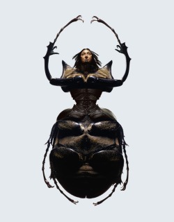 fer1972:  Insectes by Laurent Seroussi