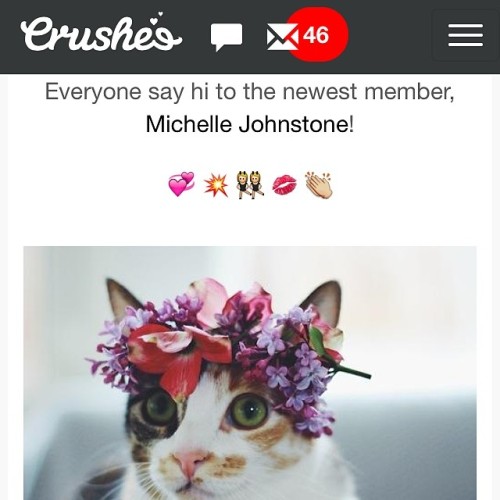 Pretty sure the @crusheedotcom community just approved a cat’s request to join the community. 