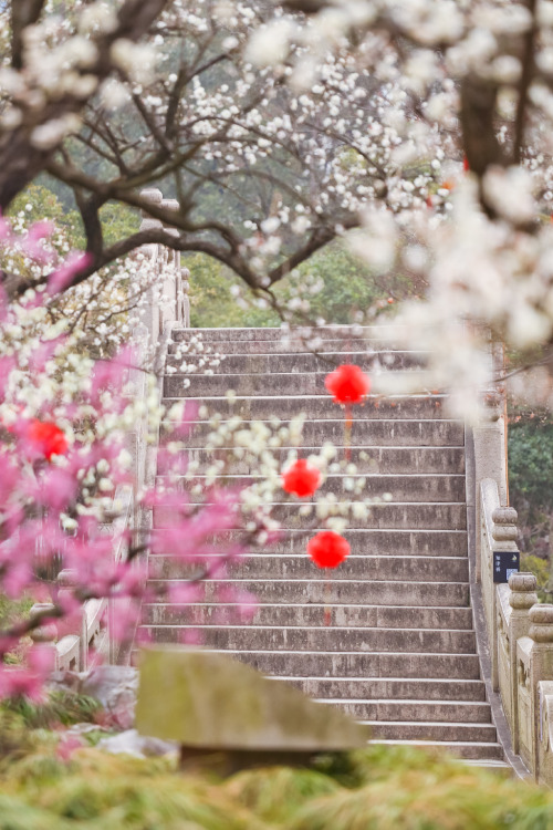 nanyuan南园, suzhou, jiangsu province by 白墙下的花园