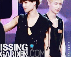 sekairis:  24/ ∞ EXO gifs | Kai (ft:lay's aniyo)   