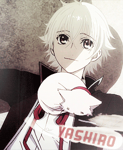                        K Project meme Eight Favorite Characters - Isana Yashiro/Adolf