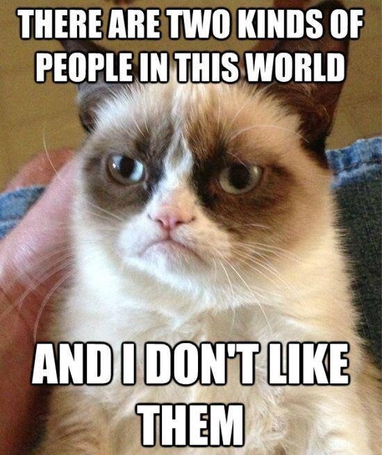 Grumpy cat twinkle little star