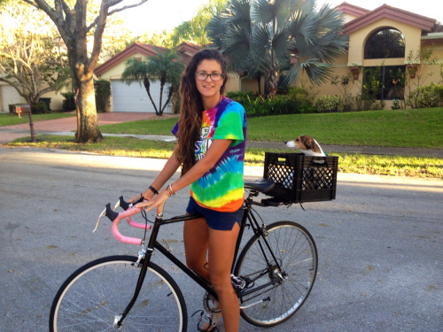 agranolagirl: My dog Ned is going to start joining me for bike rides :)