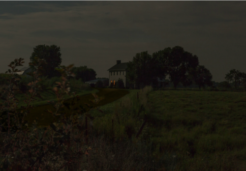 nevver:Through Darkness to Light, Jeanine Michna-Bales