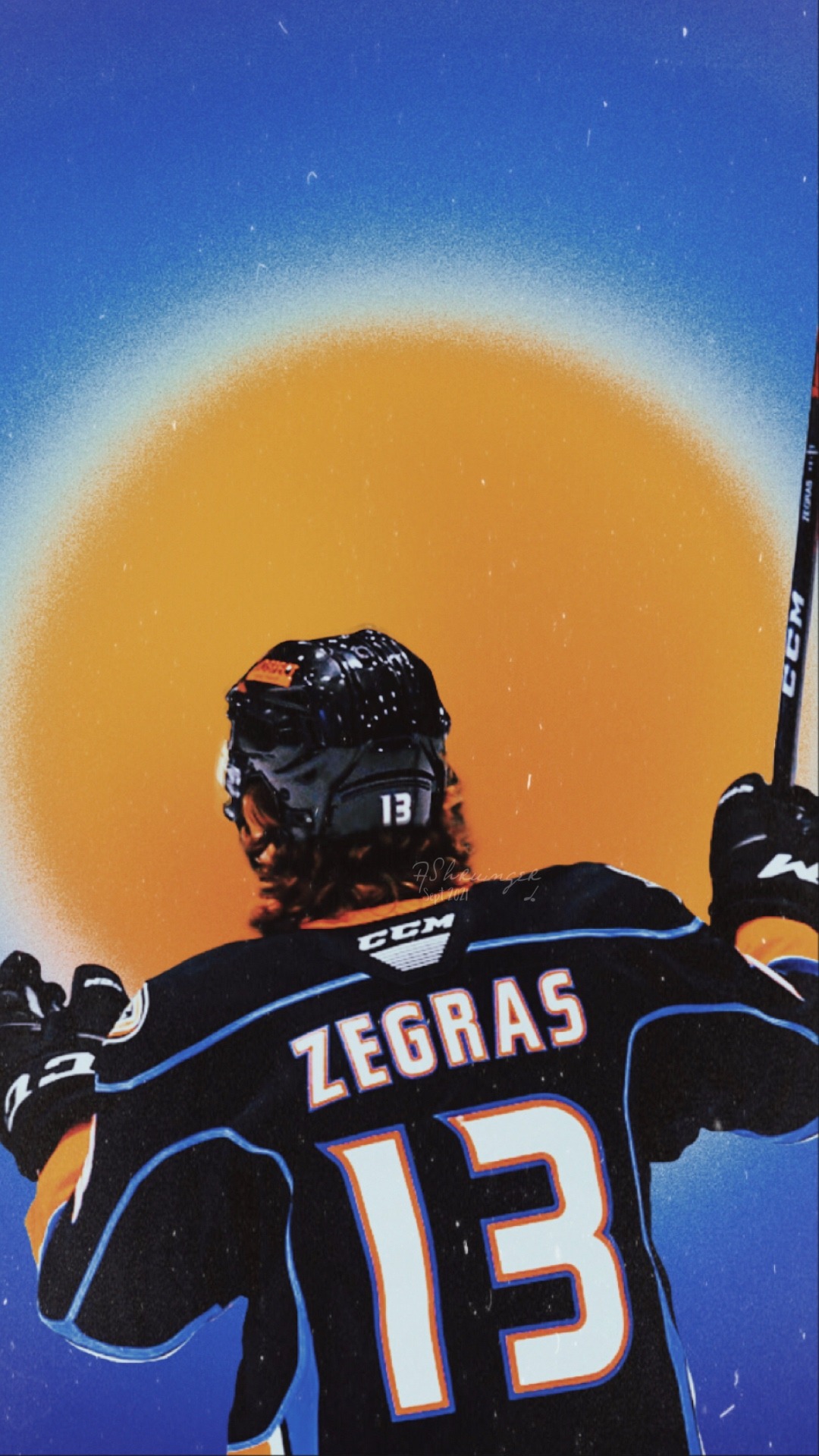 Trevor zegras HD wallpapers