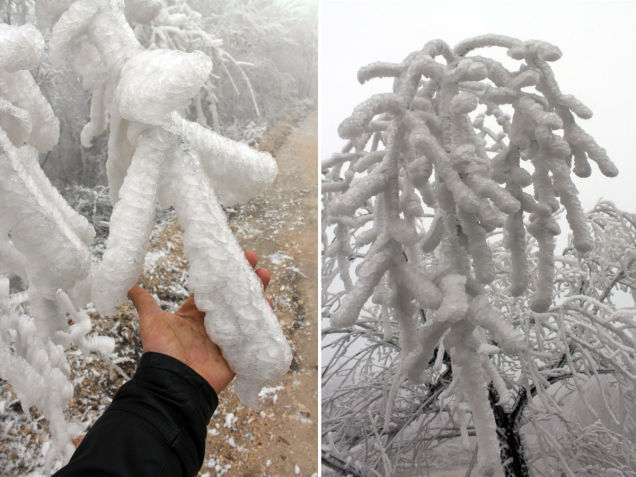 sixpenceee:  Rapidly sinking temperatures in Hungary caused a fog to freeze on top