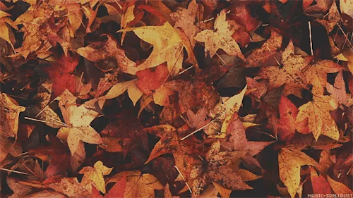 Hello September!