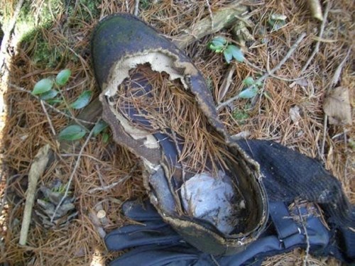 jewist:  The Aokigahara Forest is a lonely place to die. So dense is the vegetation at the foot of Japan’s Mount Fuji, it is all too easy to disappear among the evergreens and never be seen again. Each year the authorities remove as many as 100 bodies