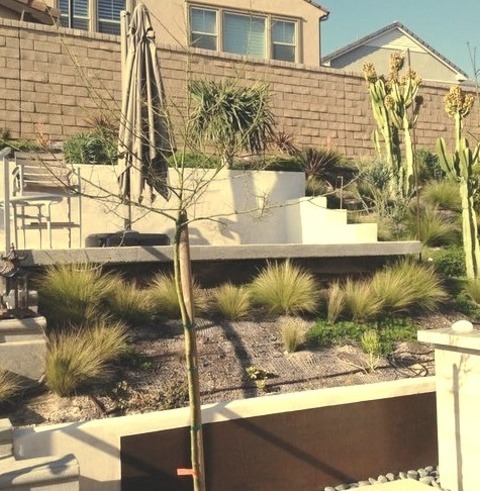 Container Garden - Landscape