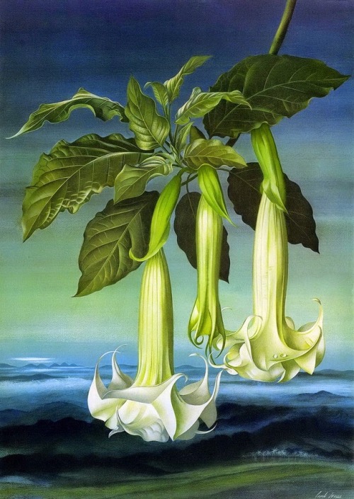 art-mysecondname:Paul Jones 