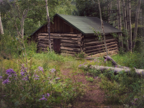 homeintheforest:log cabin tucked away by lookagain_1 on Flickr.